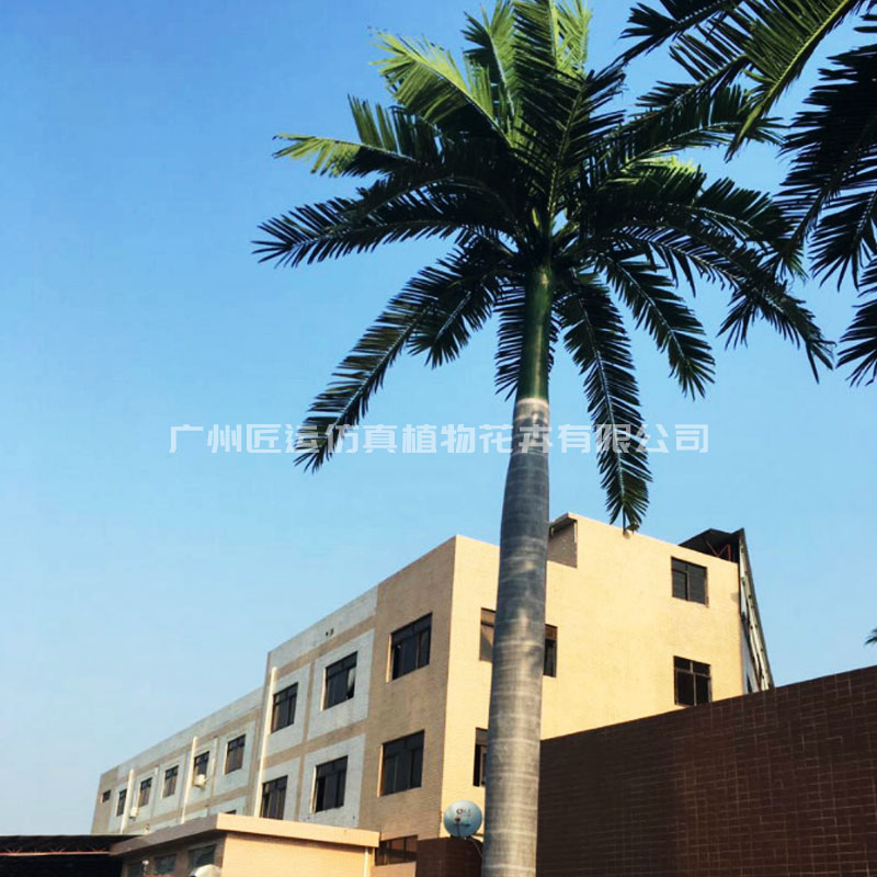 室外仿真大王椰